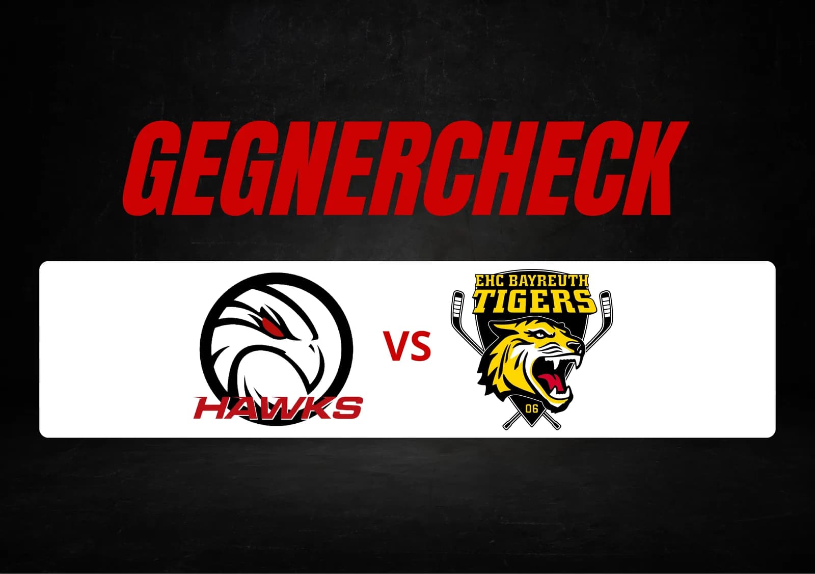 Bayreuth vor dem Neustart: Erfahrene Tigers wollen ins Viertelfinale